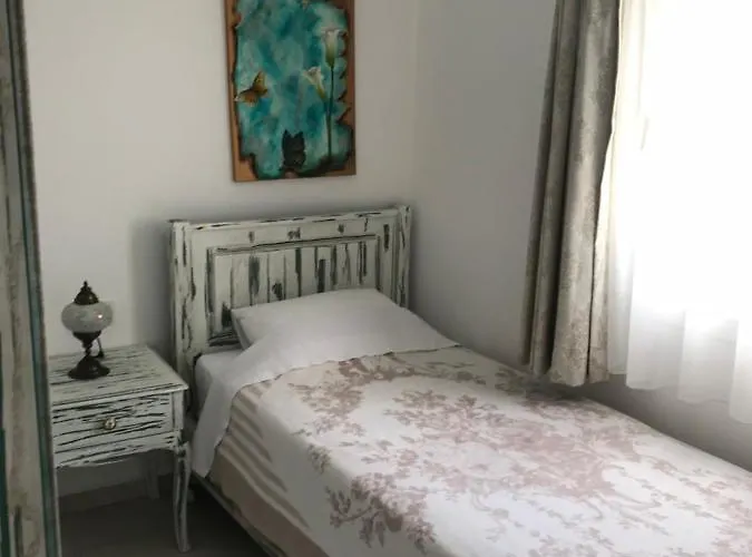 Bahama Art טורגוטריס