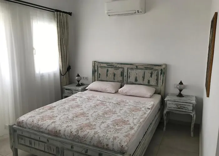 Bahama Art מלון טורגוטריס