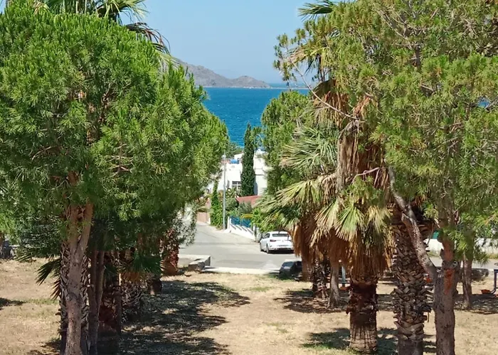 Bahama Art מלון טורגוטריס