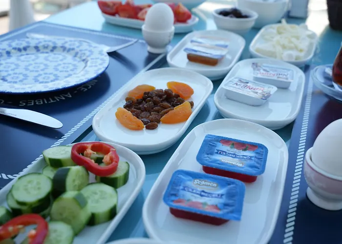 Bahama Art טורגוטריס